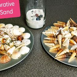 145 Decorative Seashells & Sand with Pebbles 