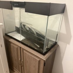 Fish Tank