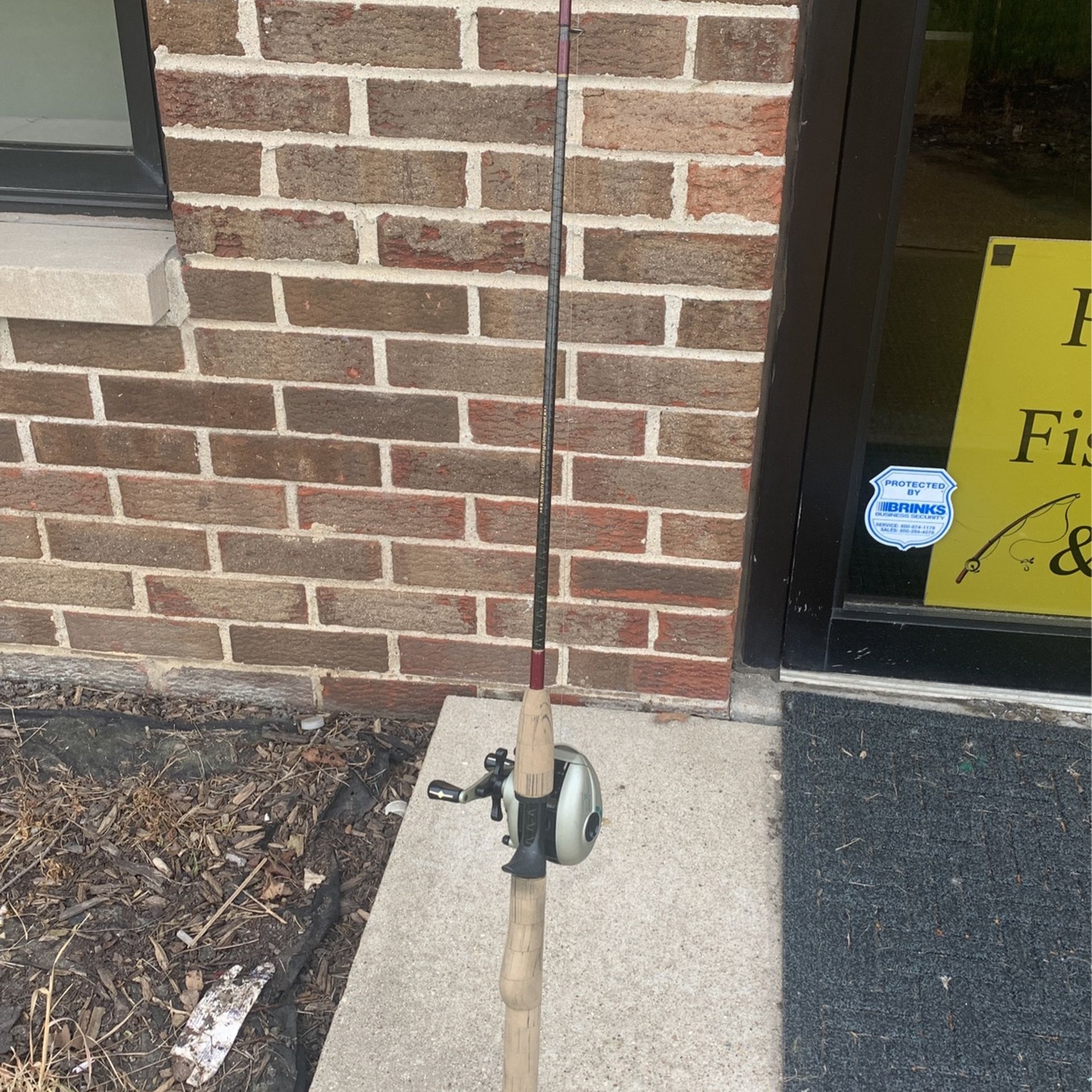 Bait Caster Reel With Fishing Pole