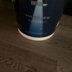 Behr Marquee Platinum Colored Paint
