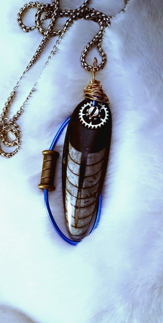 NEW ONE OF A KIND FOSSIL NECKLACES ORTHOCERAS!