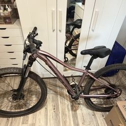 Contessa used woman’s bike 
