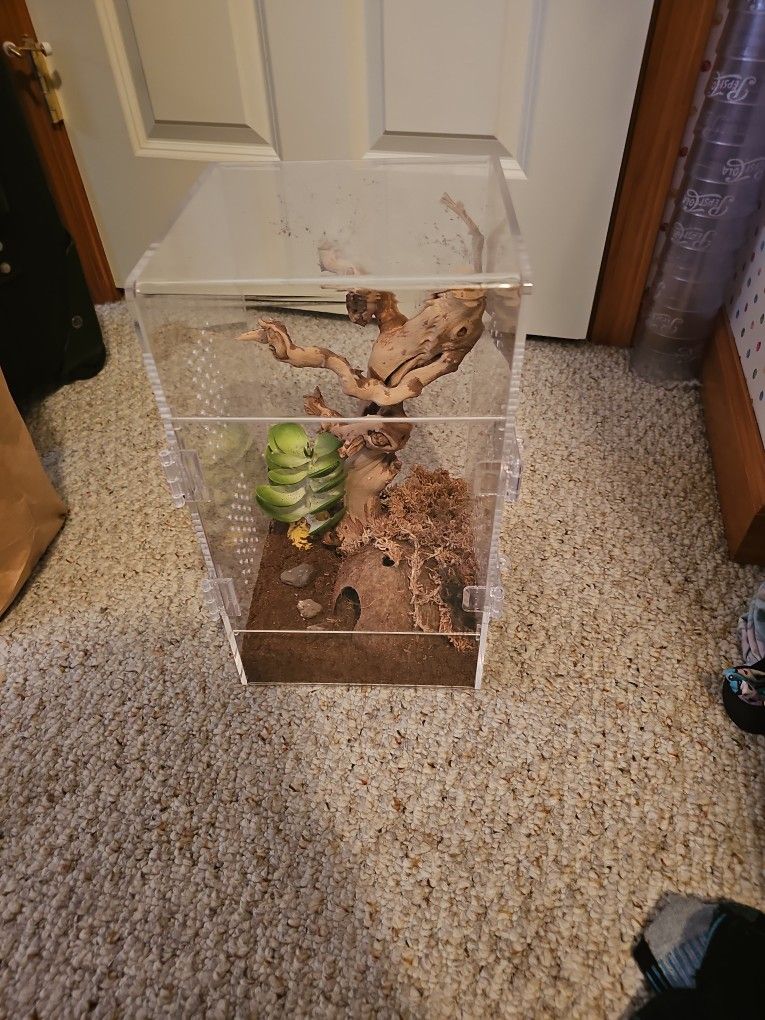 Tarantula Cage