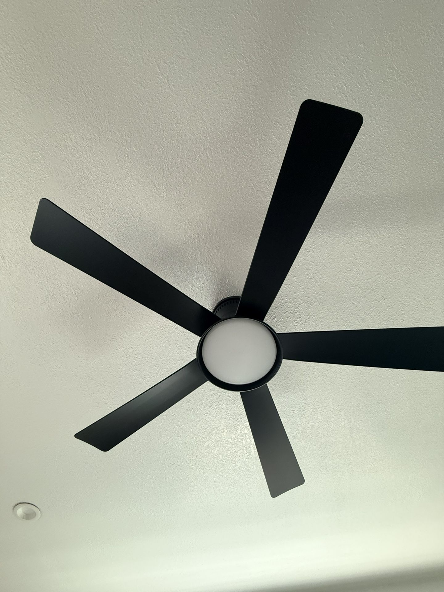 Hampton Bay Fan #2