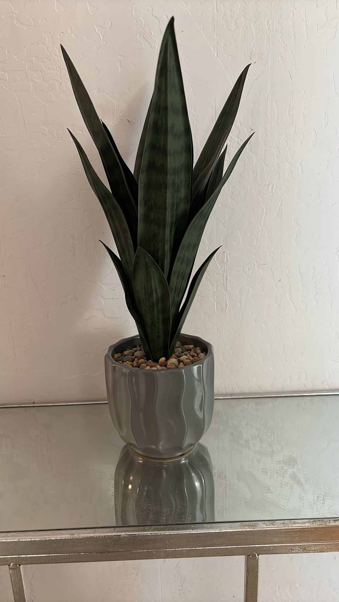 Decor Plant