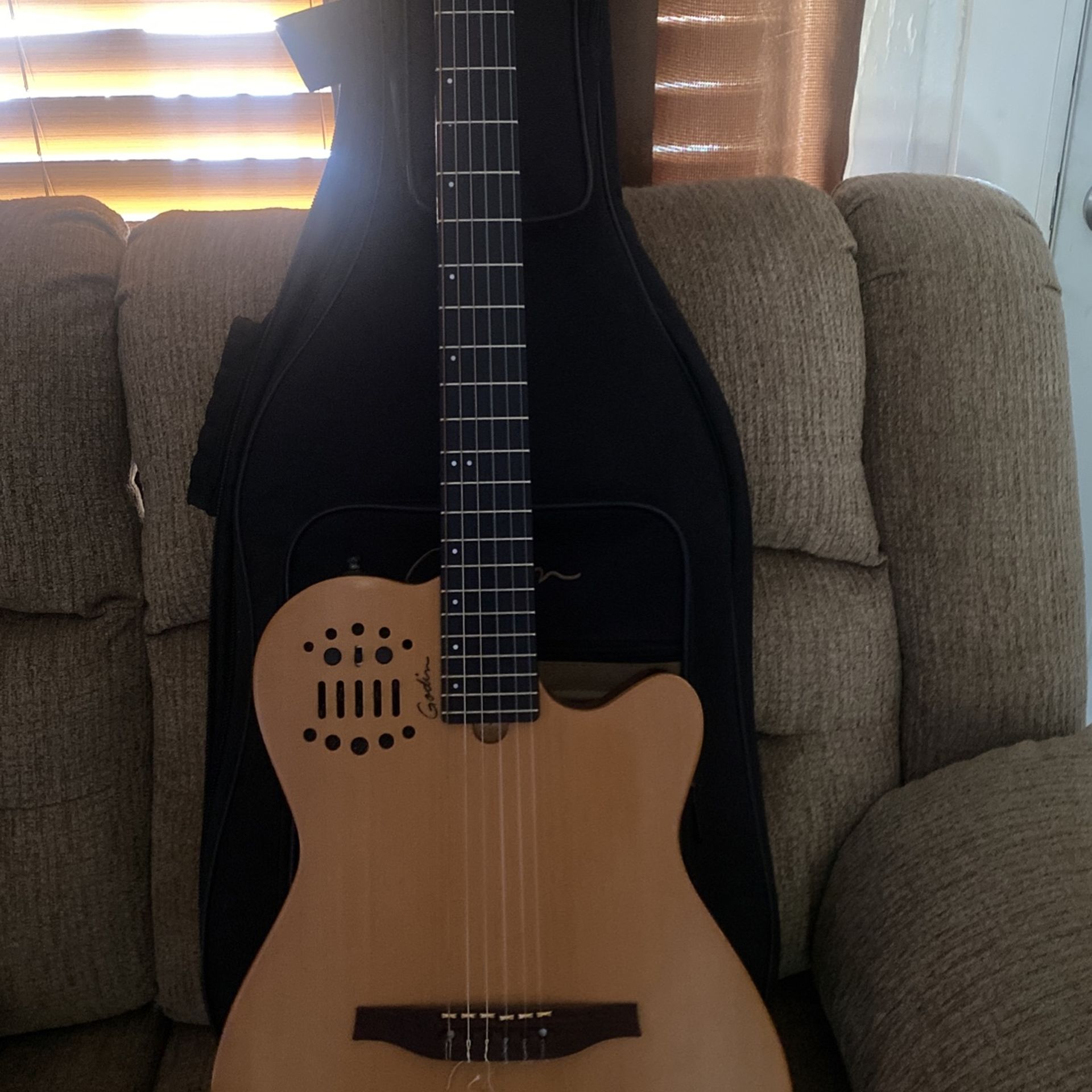 Acoustic Electric Guitar