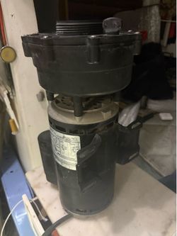 Pool pump motor