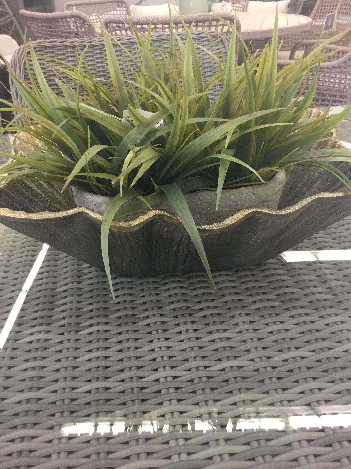 Pot Of Plants
