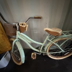 Beach Cruiser 