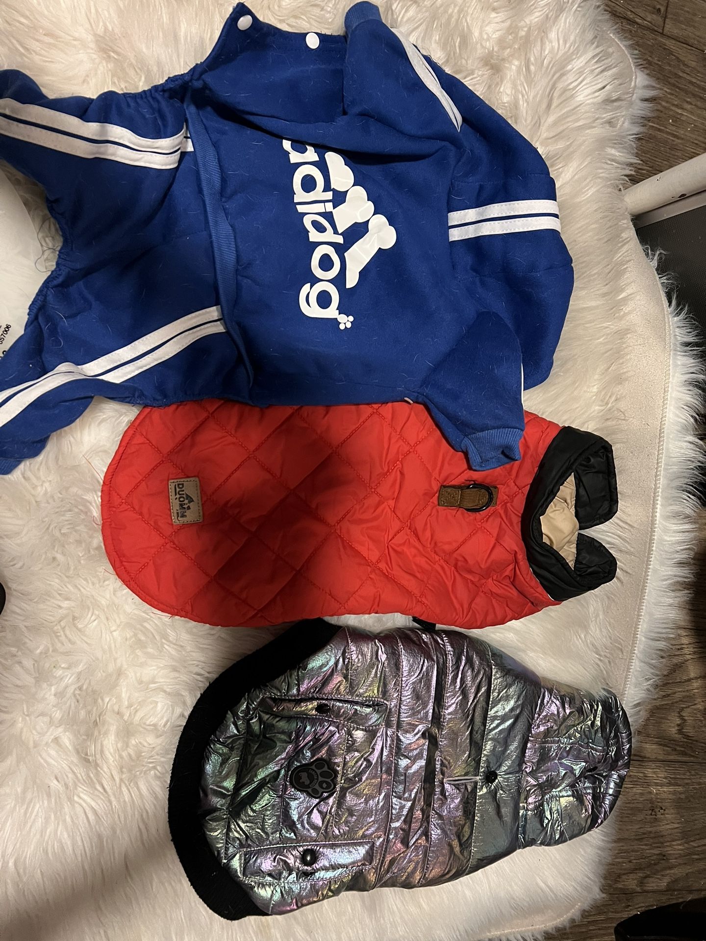 Dog Items