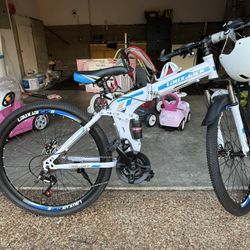 Folding Bicycle