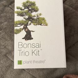 Grow Bonsai Tree Kit