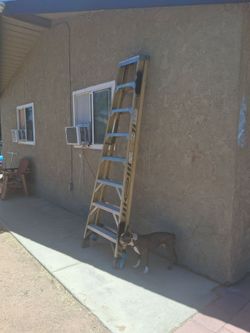8ft ladder 🪜