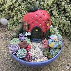 Succulent Fairy Garden 