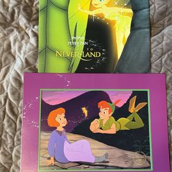✨ Walt Disney’s PETER PAN IN RETURN TO NEVERLAND – 2002 Exclusive Commemorative Lithograph 🧚