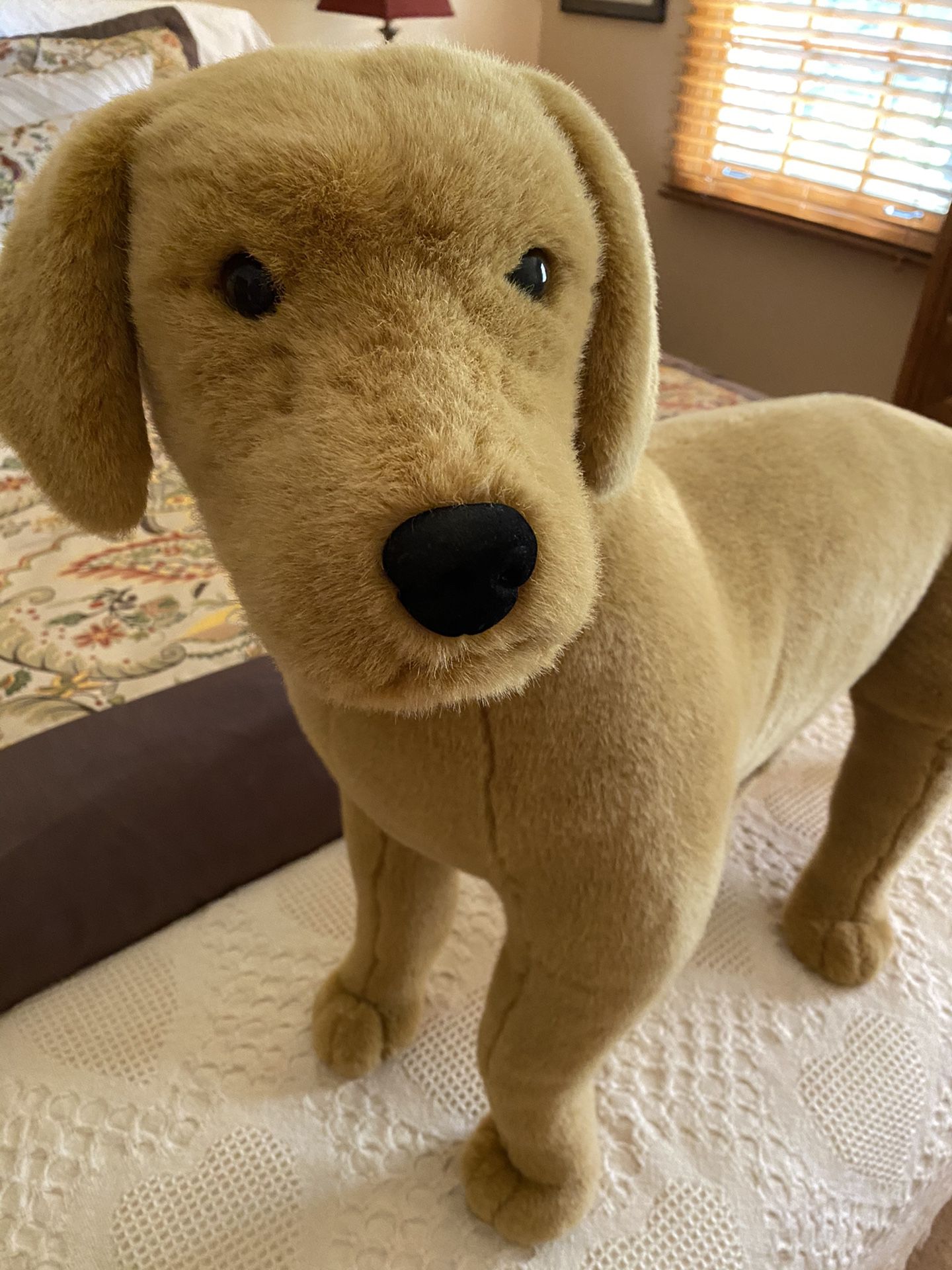 Yellow Lab stuffed animal - Dog
