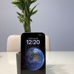 iPhone 15 Unlocked