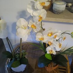 Two Tall Beautiful Fake Orchids In Ceramic Pots