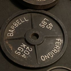 Ferrigno Weights