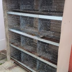 TORRE DE 12 HUECOS para palomas