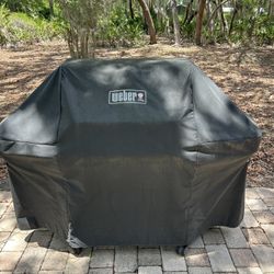 Weber Grill Outdoors BBQ  Cookout