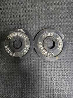 Pair of 5 lb Olympic Weight Plates (10 lbs Total) - Used