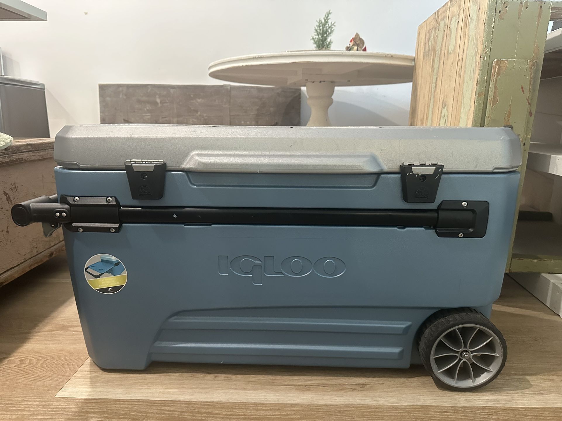 Igloo Cooler - Large
