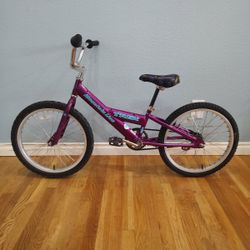 20" Trek Mountain Lion BMX Kids Bike 