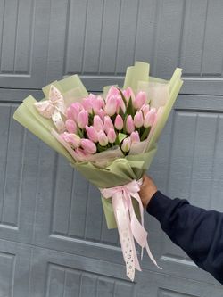 40 Tulips