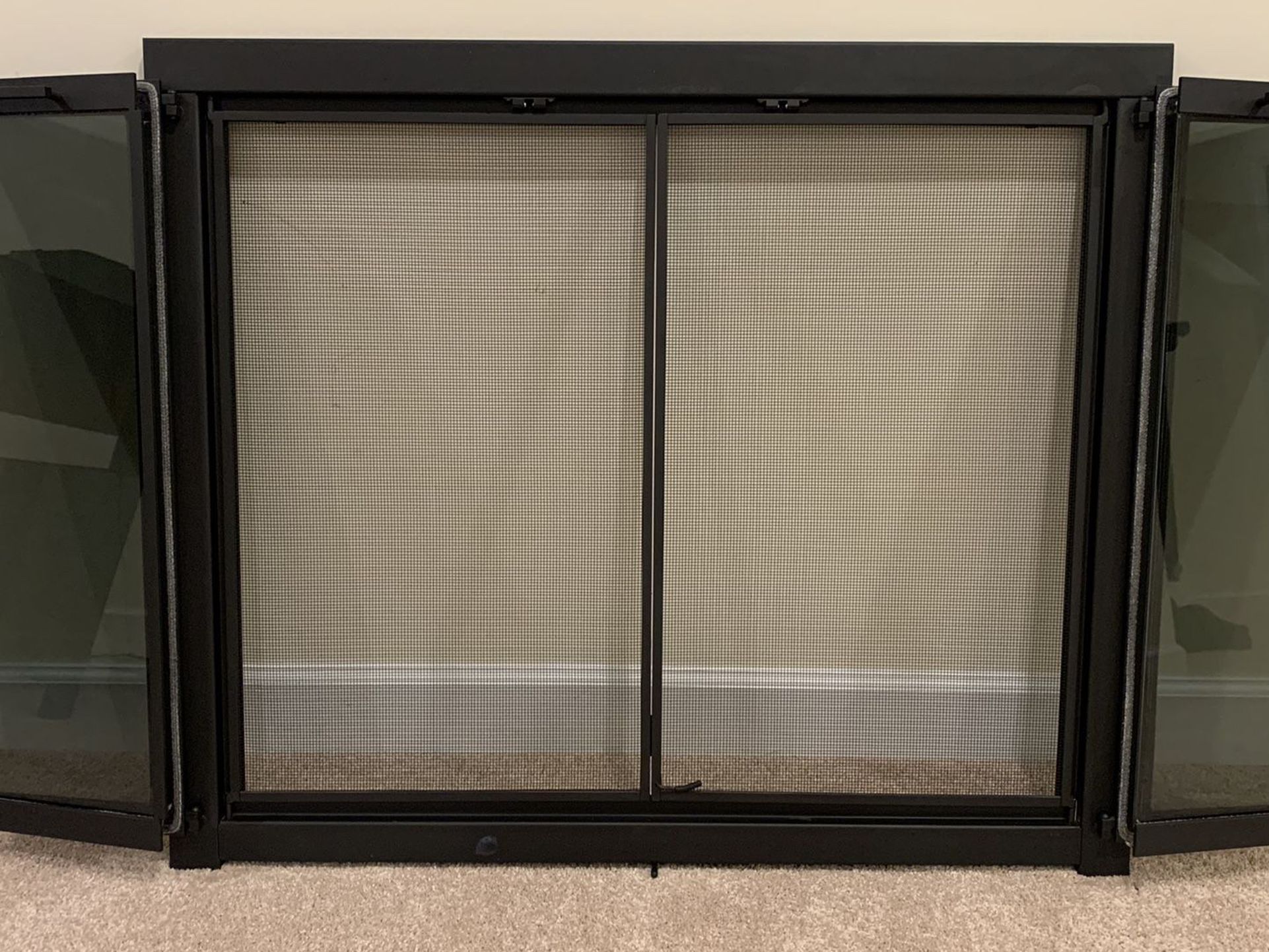 Fireplace Frame, Glass Doors and Screen