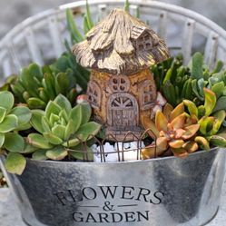 Mother's Day Gifts -Succulents Arrangements 