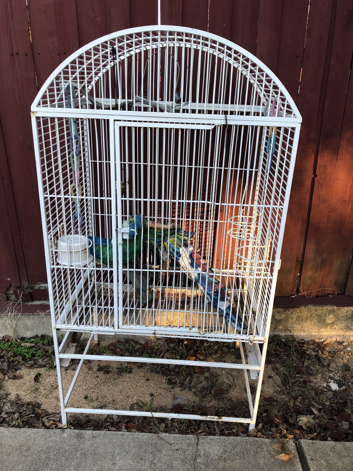 Bird cage
