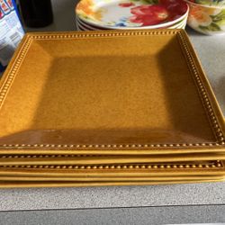 5 Large Dinner plates 