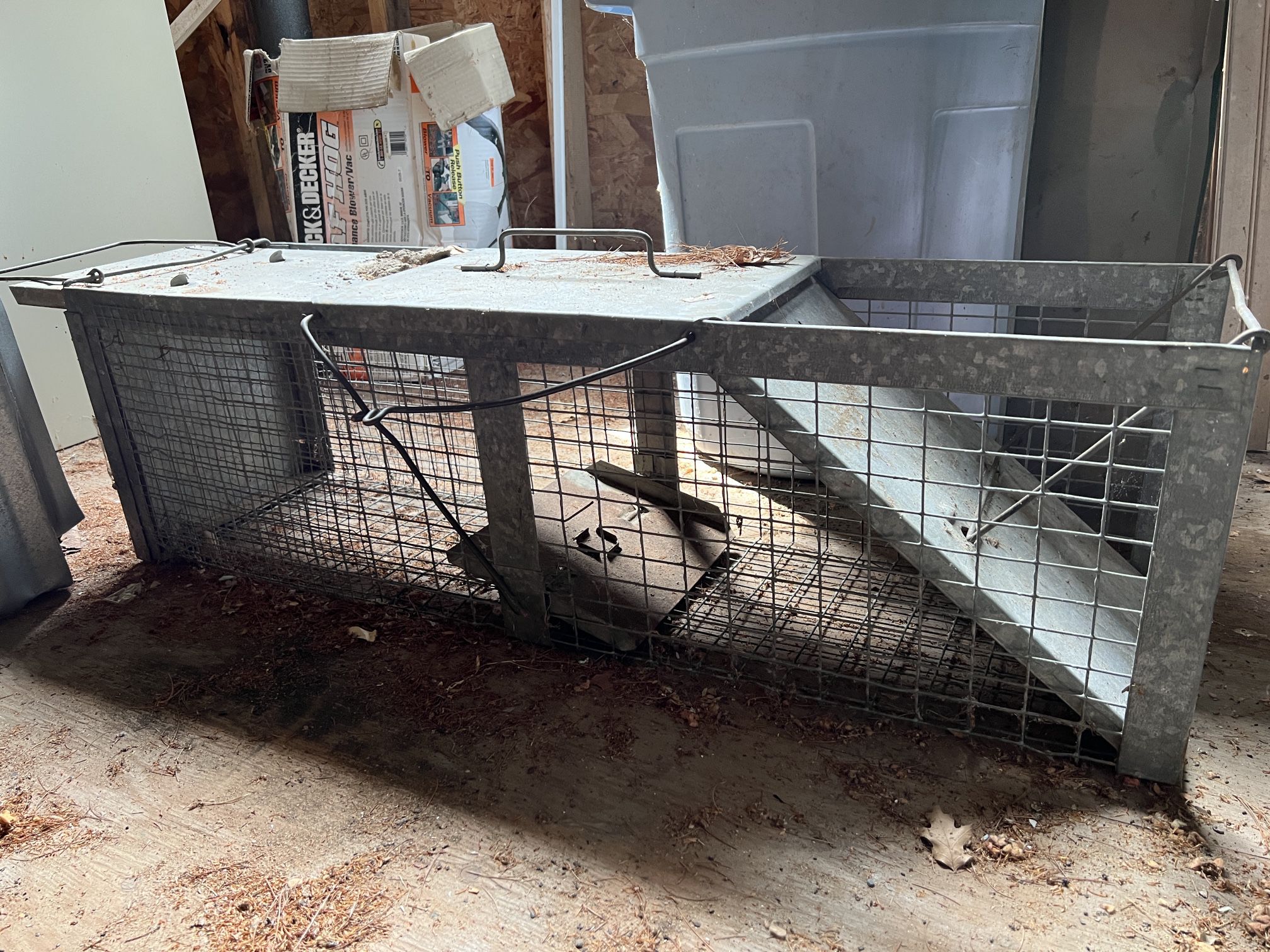Animal Trap raccoon skunk etc. Galvanized aluminum 