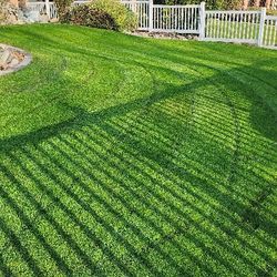 Jardinero En Bakersfield 