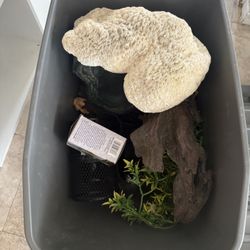 Reptile Stuff