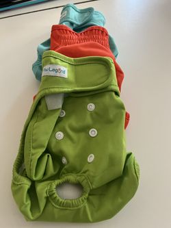 Dog Diapers
