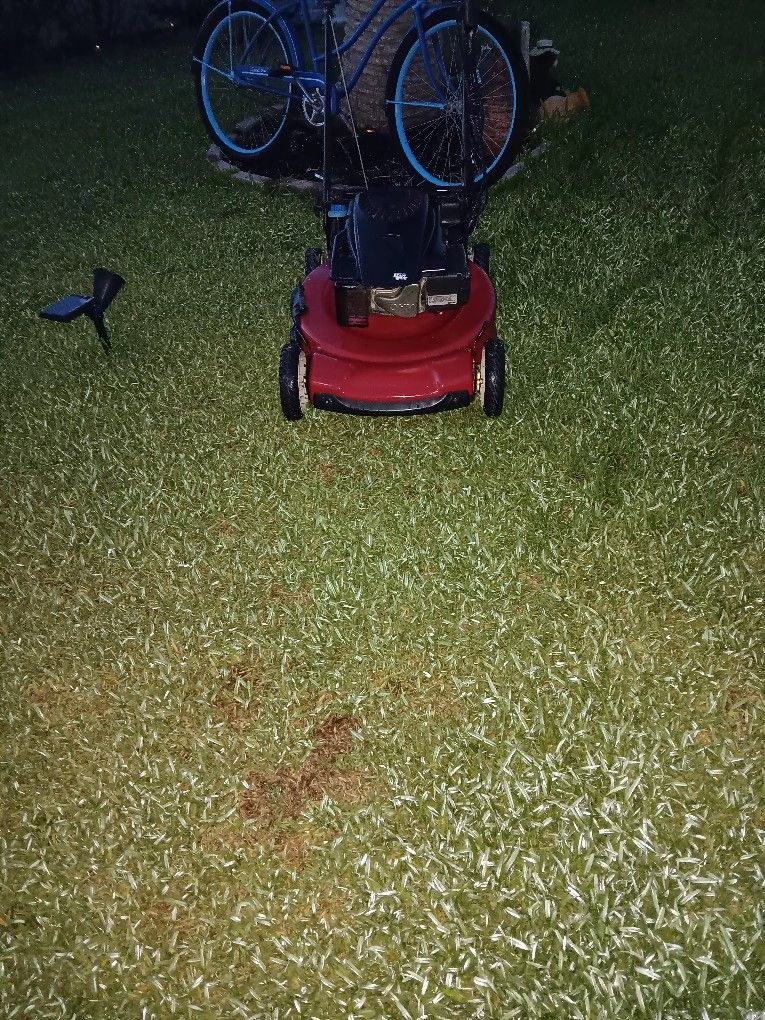 Toro Recycler