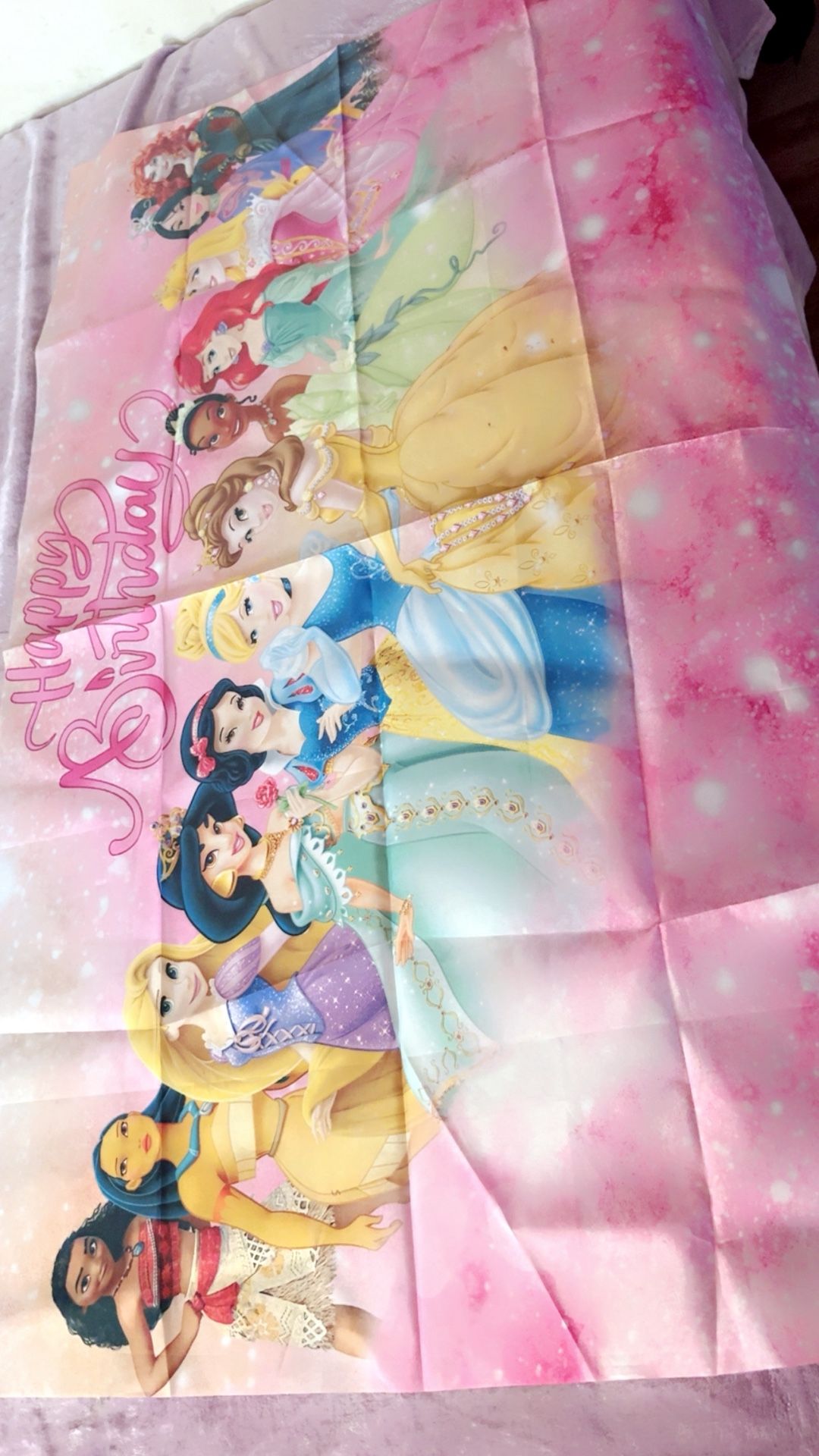 Princess Back Drop $10