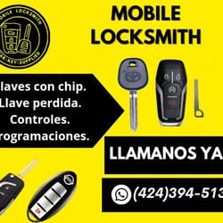 Llaves Y Controles Para Carros