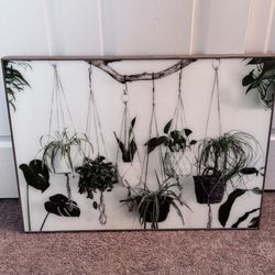 Hanging Plant Picture In Frame 