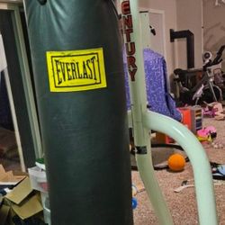 Punching Bag And Stand