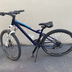 Diamondback Mountain Bike