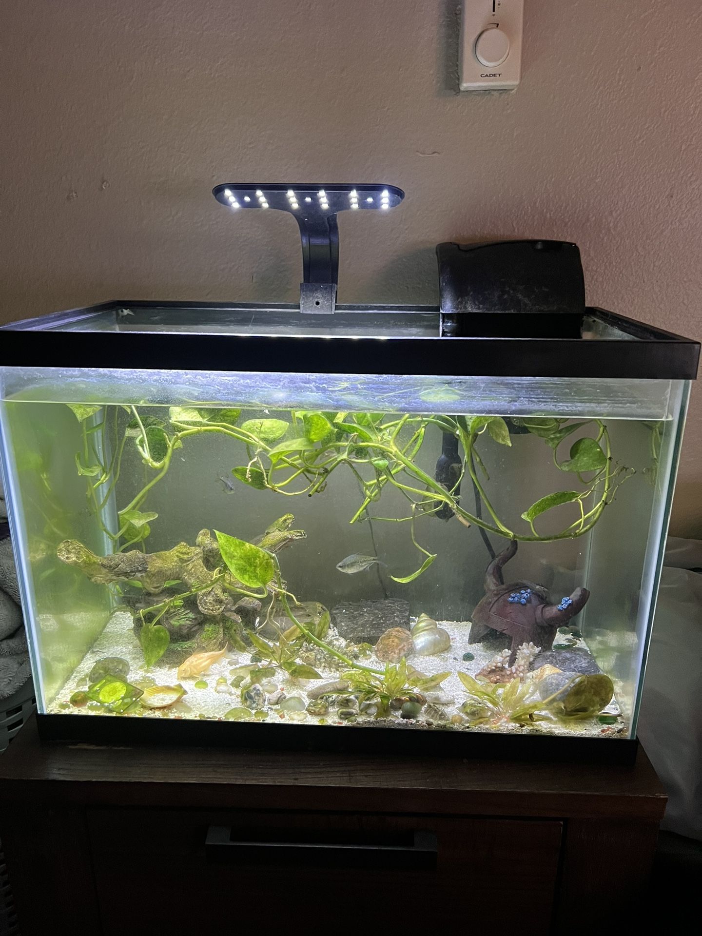 Fish Tank/aquarium 