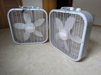 Box Fans