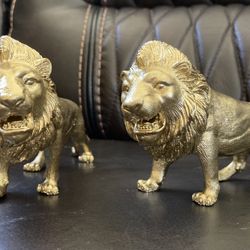 Two rare gold lions