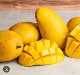 Raw Honey mango trees