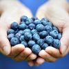 Blueberry