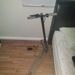 Adult Scooter CRUISER 