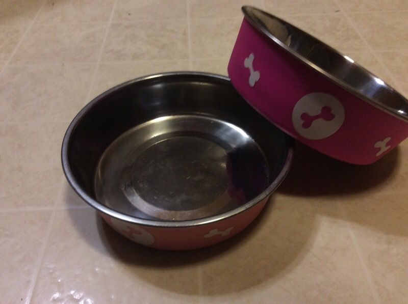 Dog bowls